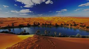 El Fayoum Day Trip from Cairo — Wadi Hitan & Wadi El Rayan