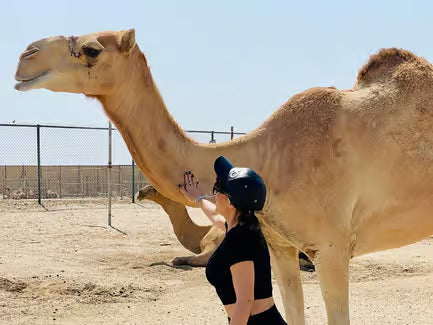 Image of Timeless Bahrain: A Private Full-Day Cultural & Heritage Discovery