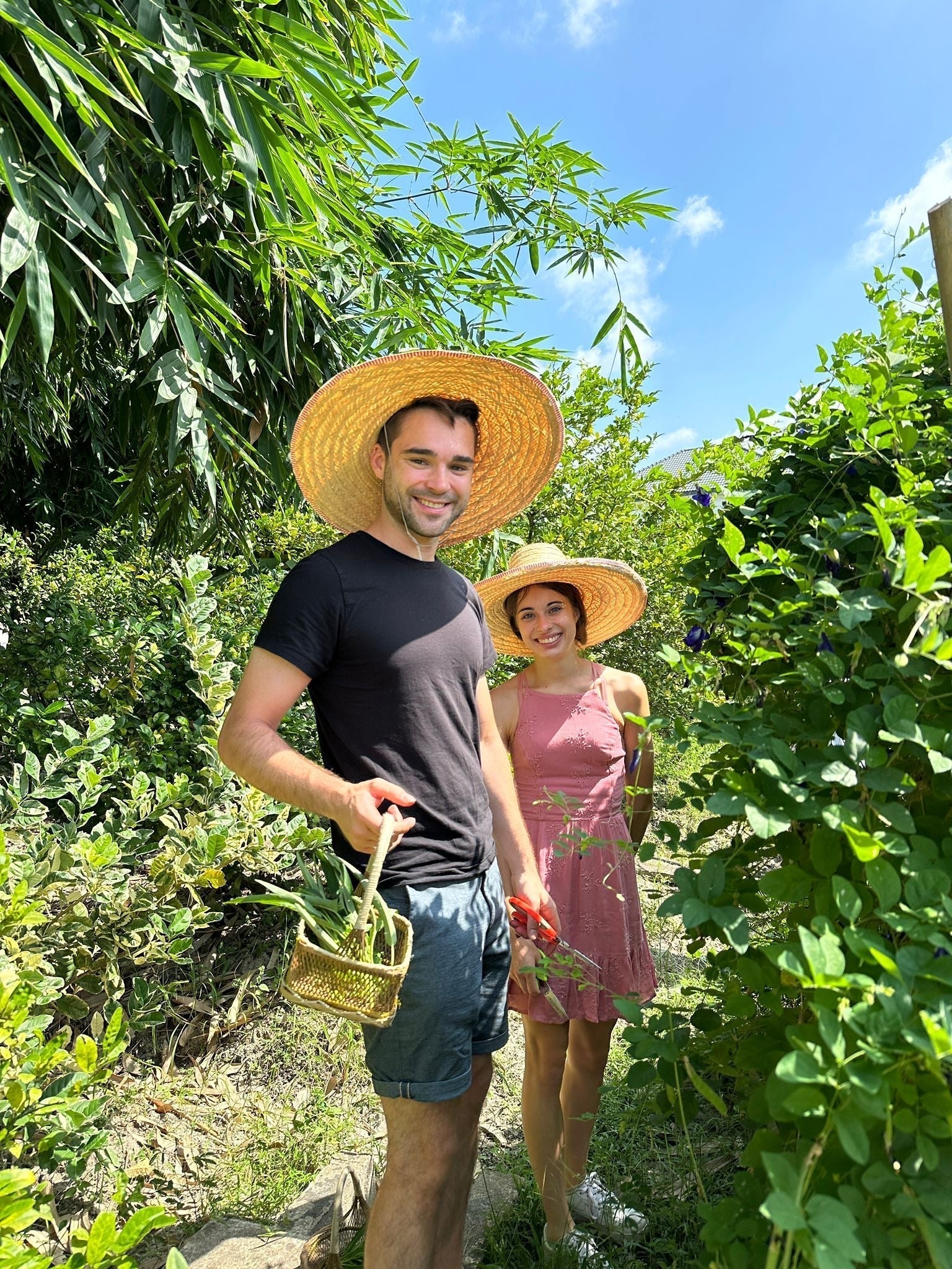 Image of Baan Farm Thai Cooking Class in Chiangmai