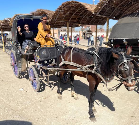 Image of Luxor Carriage Tour – Traditional Ride, Markets & Nile Riverside