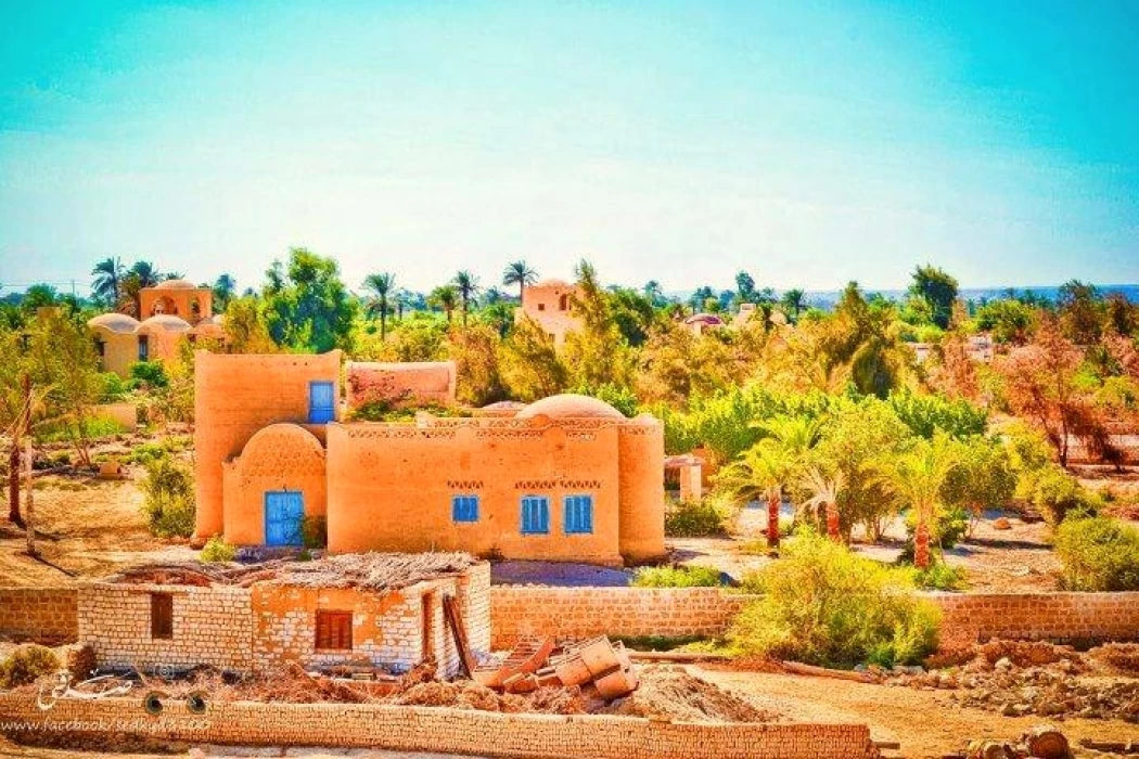 Image of El Fayoum Day Trip from Cairo — Wadi Hitan & Wadi El Rayan