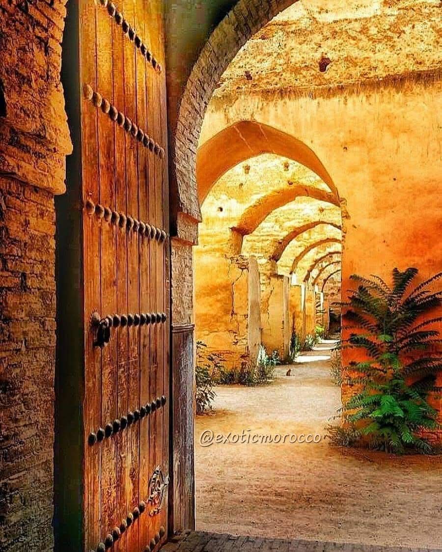 Stories by the Sea: Fes to Rabat Cultural Day Escape