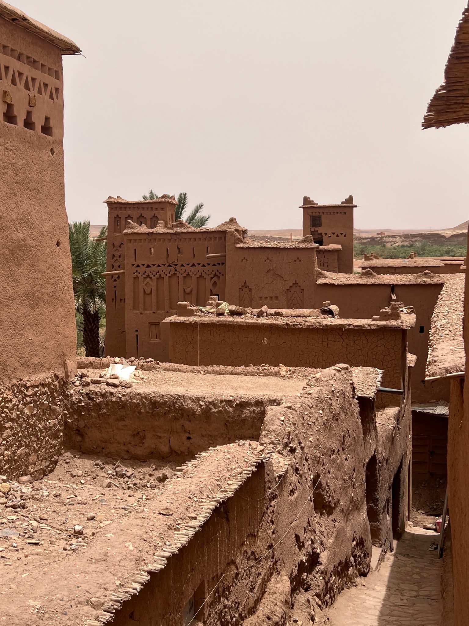 Stories by the Sea: Fes to Rabat Cultural Day Escape