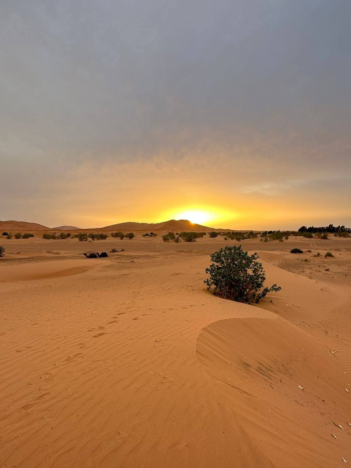 3-Day Sahara Escape: Ouarzazate to Merzouga Desert Adventure