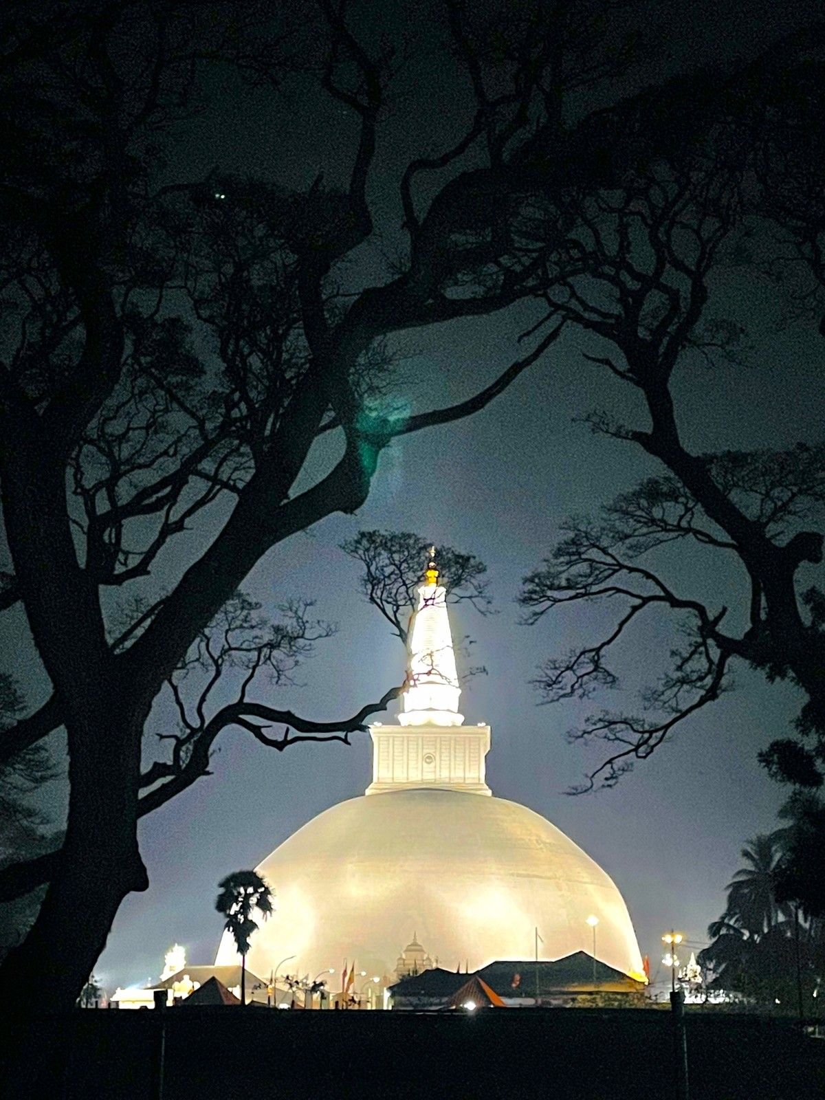 Pearl of the Indian Ocean: 10-Day Sri Lanka Heritage & Nature Journey