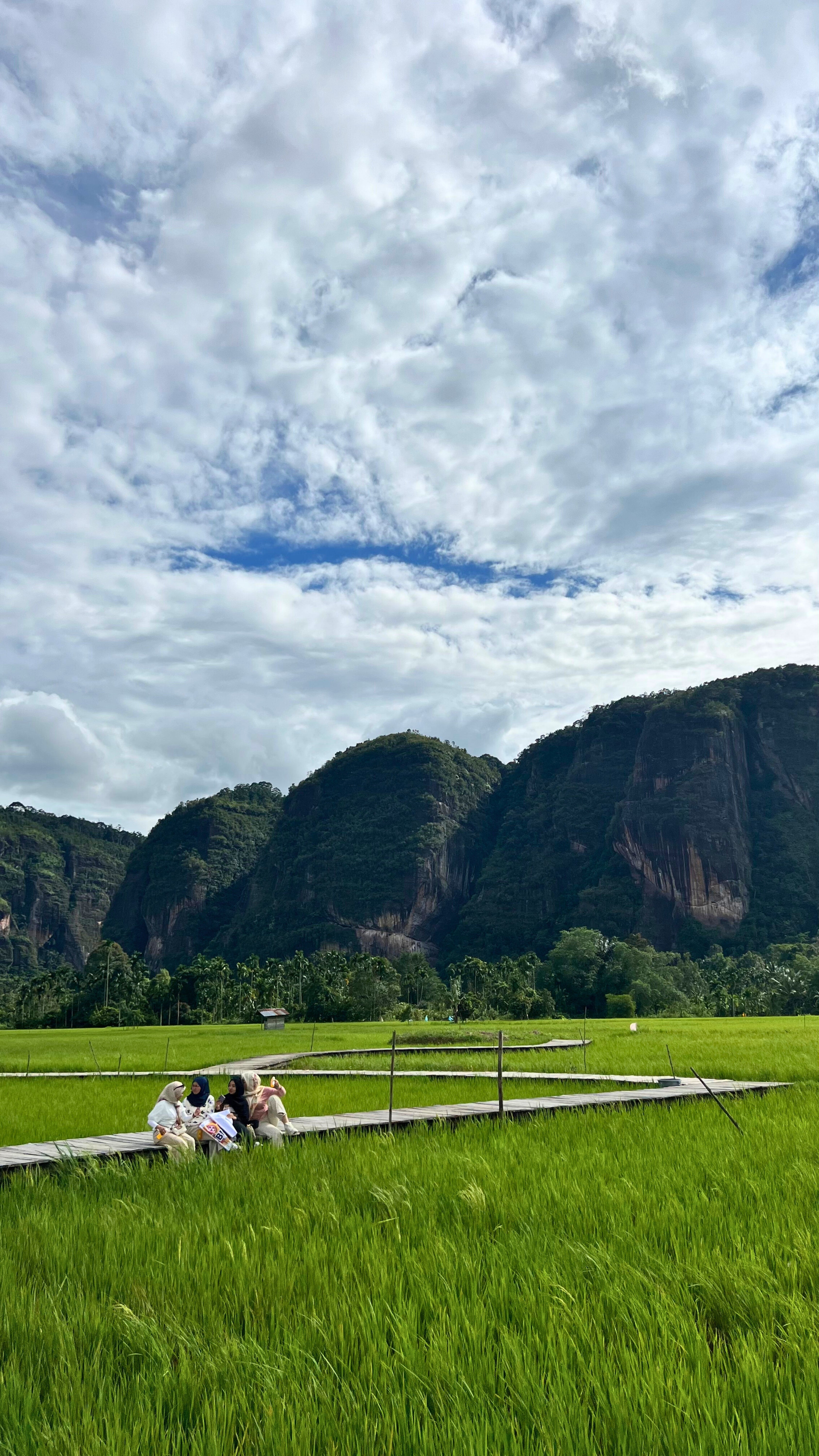 Image of The Best of Bukittinggi & Padang: Nature, Culture & Cuisine