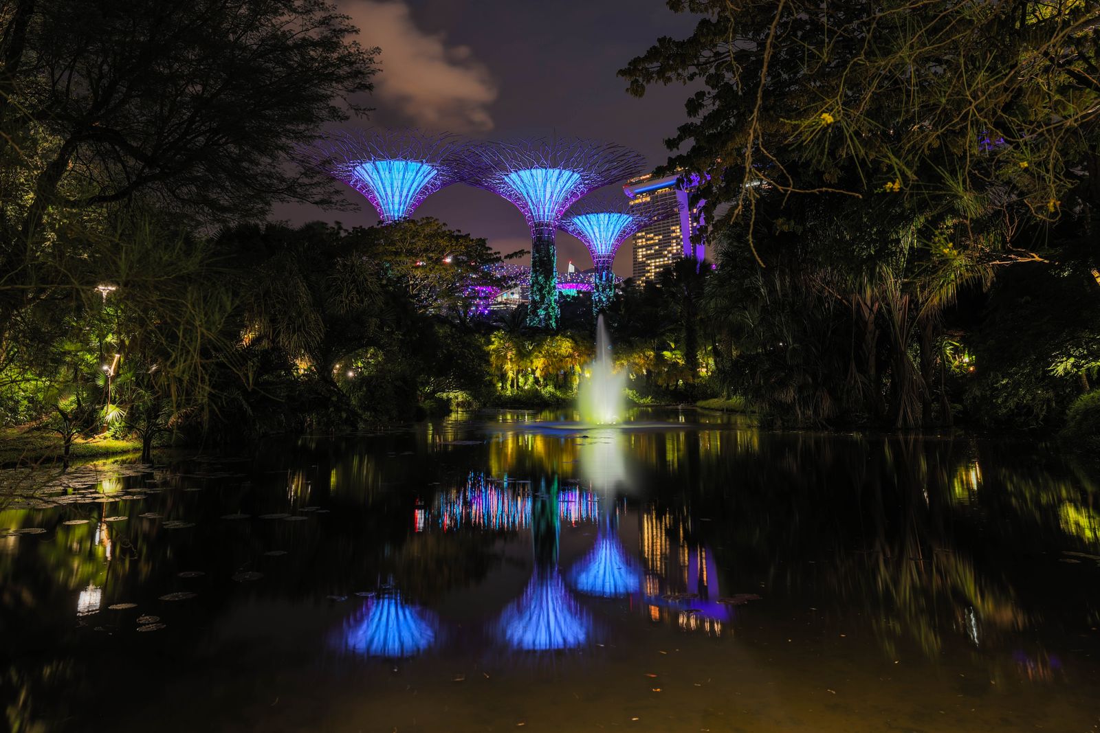Image of Supertree Grove at night, Singapore