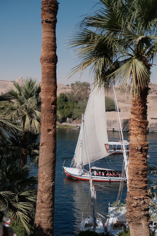 Image of Felucca Nile Cruise Luxor — Traditional Boat Ride & Riverside Views