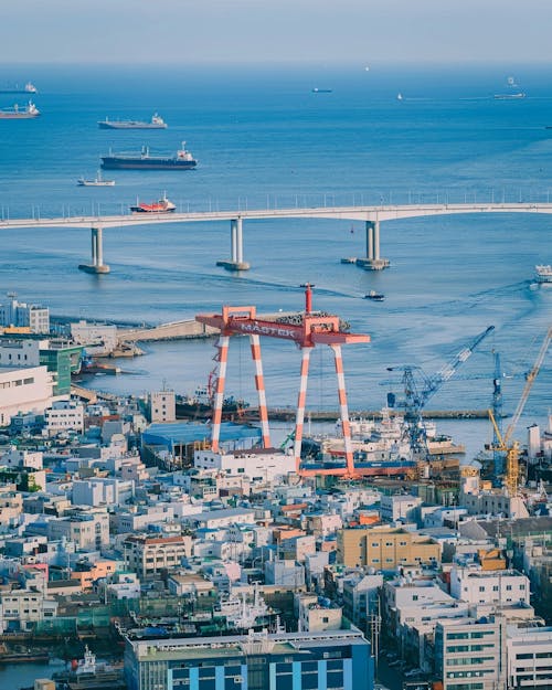 Image of Highlights of Busan Guided Tour: Markets, Temples & Ocean Views (8hours)