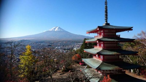 Image of Muslim-Friendly Tokyo 5D4N — Halal Meals & Disneyland Day