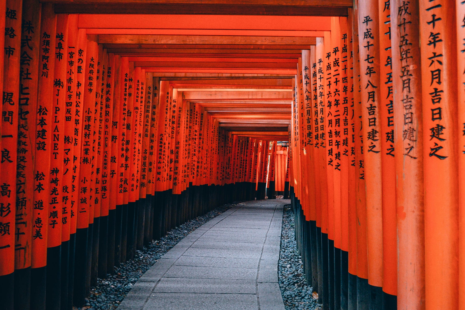 Kyoto & Nara Cultural Day Tour: Fushimi Inari, Todaiji & Deer Park