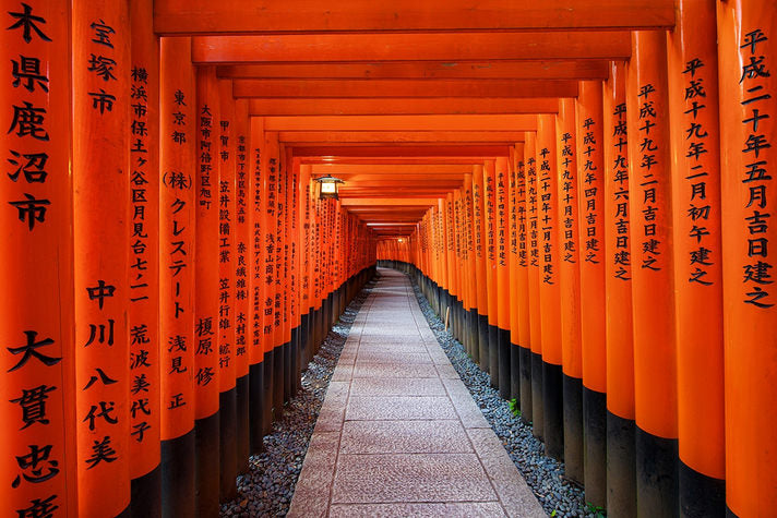 Image of Kyoto Full-Day Cultural Tour from Osaka