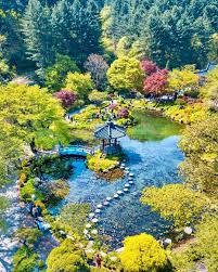 Image of From Seoul: Gapyeong Nami Island & Gyeonggi Countryside Day Trip (10-hour)