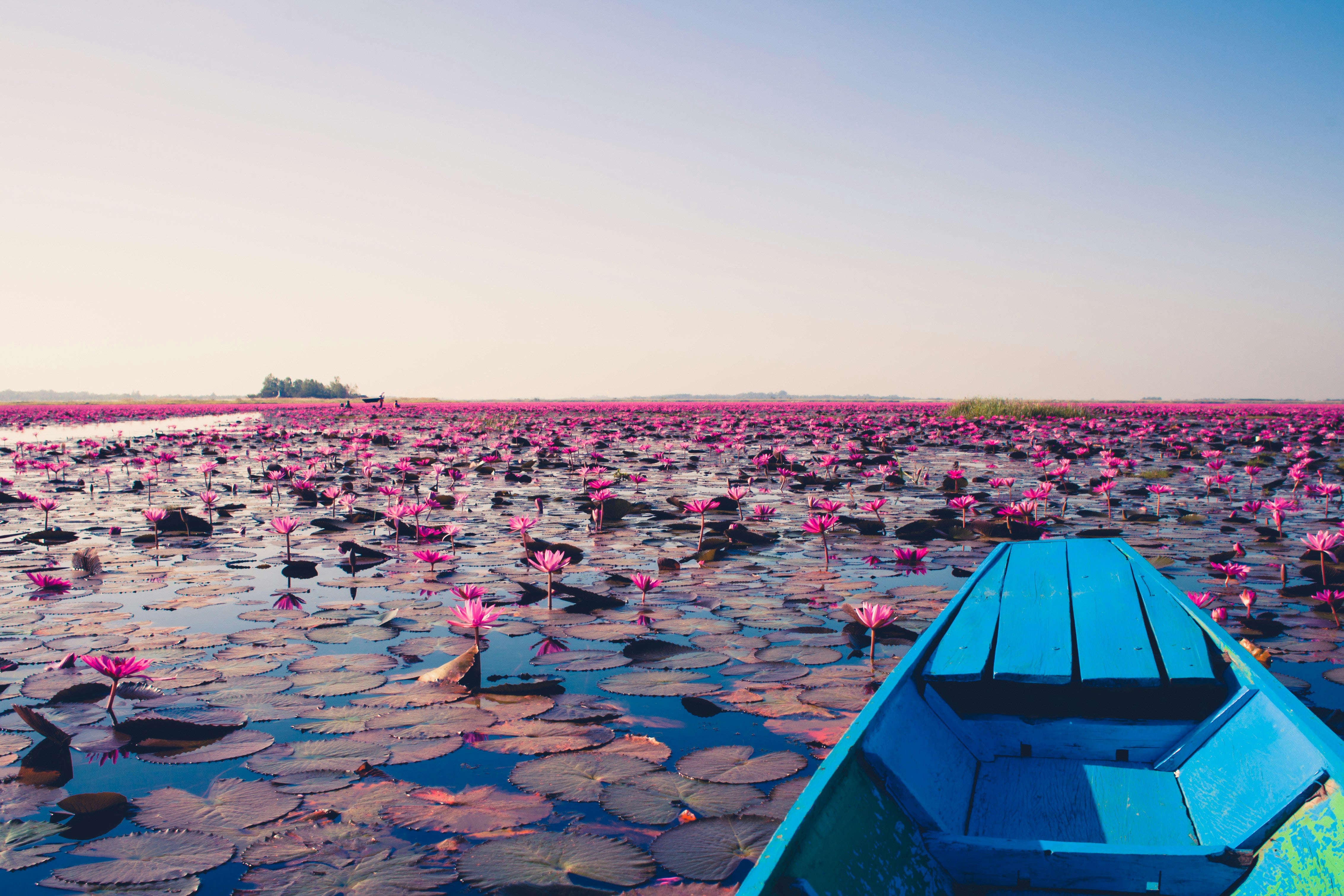 Image of Isan Cultural Classic Day Tour: Udon Thani & Nong Khai Experience