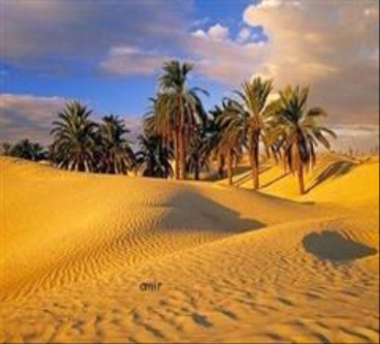 Image of Cairo to Luxor Adventure: 11 Days Pyramids, Valley of the Kings & Desert Camping