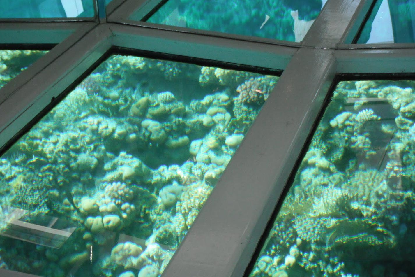 Glass Boat Cruise to Near & Far Garden — Red Sea Sightseeing from Sharm