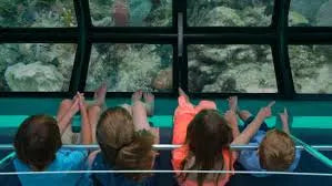 Glass Boat Cruise to Near & Far Garden — Red Sea Sightseeing from Sharm