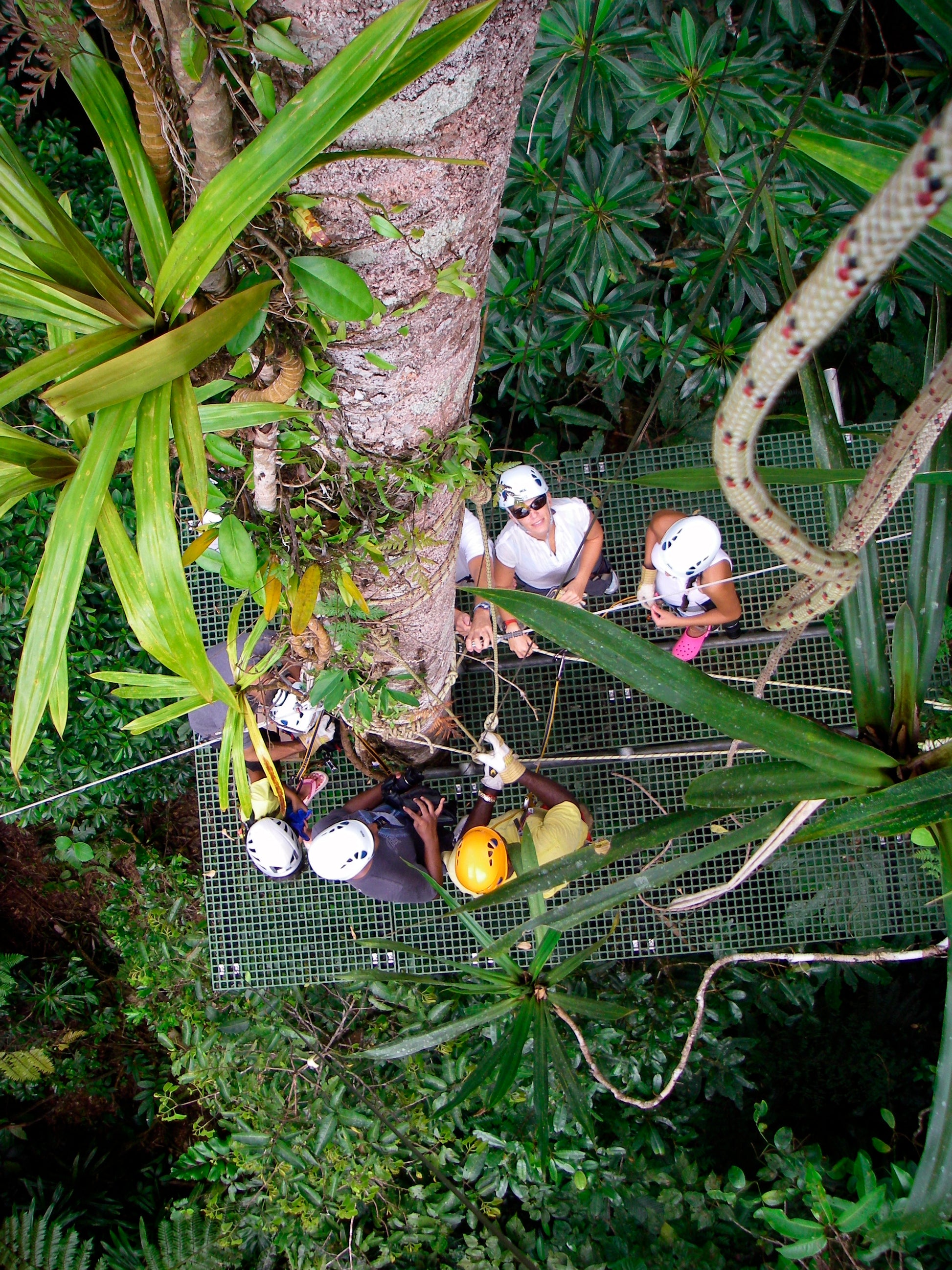 Adrenaline Meets Relaxation: Zipline Canyons, Caves & Mud Spa Tour in Fiji