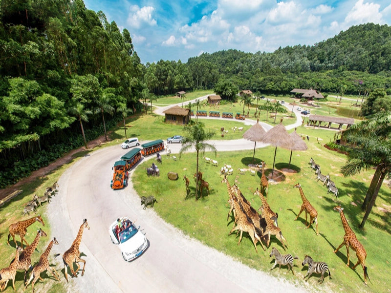 Image of 3-Day Chimelong Theme Park Tour Guangzhou–Zhuhai