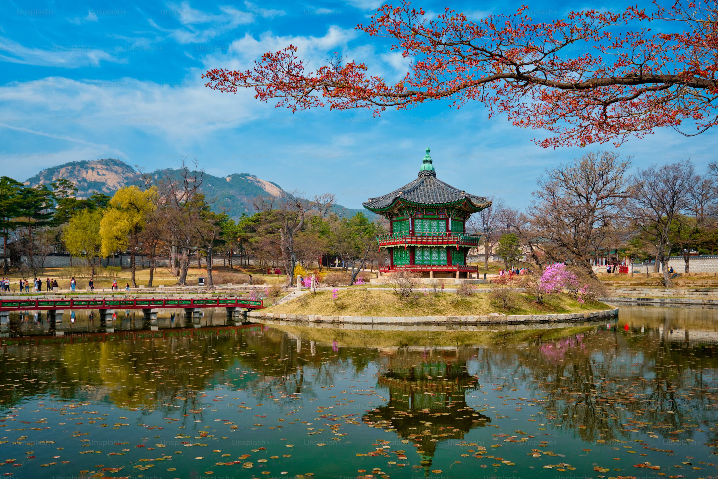 Image of Seoul Private Car & Drive Experience (10-hour)