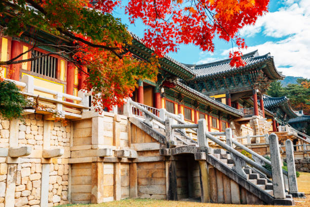 Image of Hidden Gems of Gyeongju, Jinhae & Geoje — 8 Hour Highlights with Guide