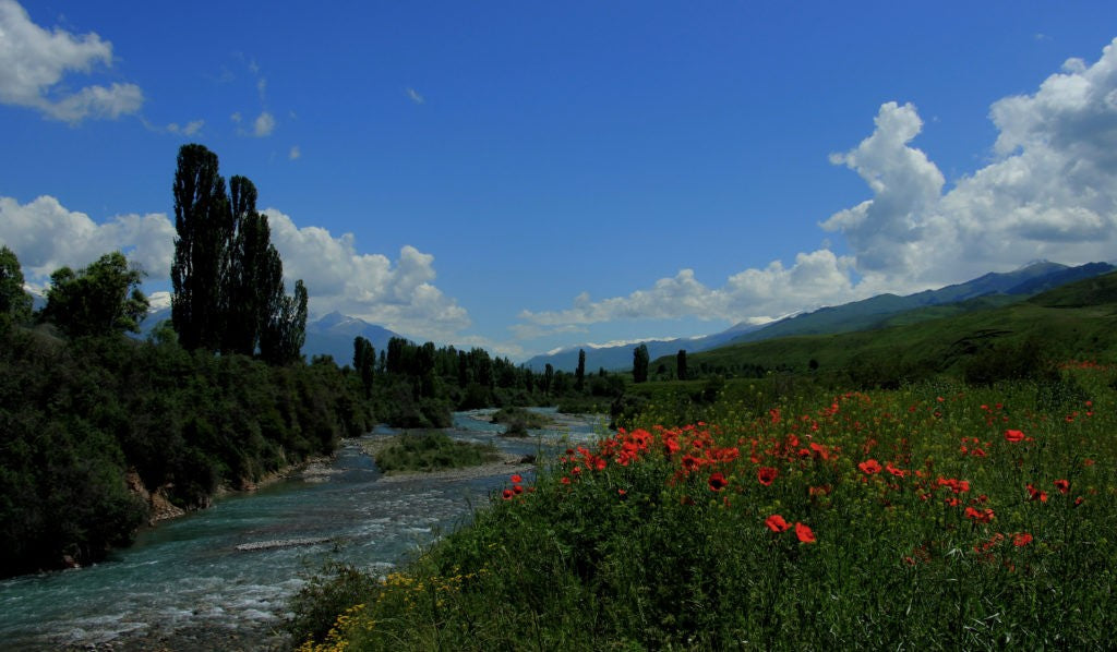 Image of Tian Shan Treasures: Exploring Chon Kemin, Karakol, and Skazka
