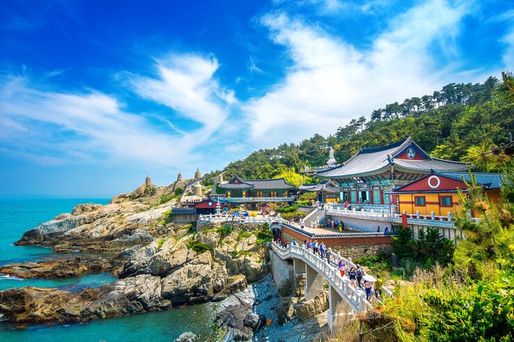 Highlights of Busan Guided Tour: Markets, Temples & Ocean Views (8hours)