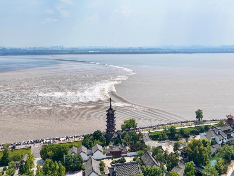Image of 6-Day Classic East China Private Tour: A Premium Leisure Vacation