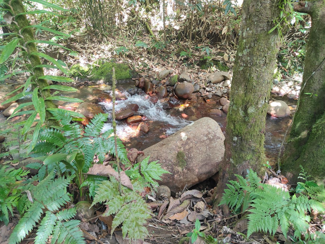 From Rainforest to Sand Dunes: Biausevu Waterfall & Sigatoka Adventure