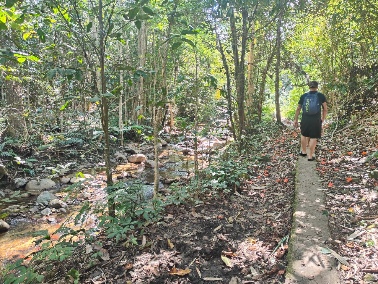 Image of Wild Fiji Discovery: Biausevu Waterfall Swim & Pacific’s Largest Sand Dunes