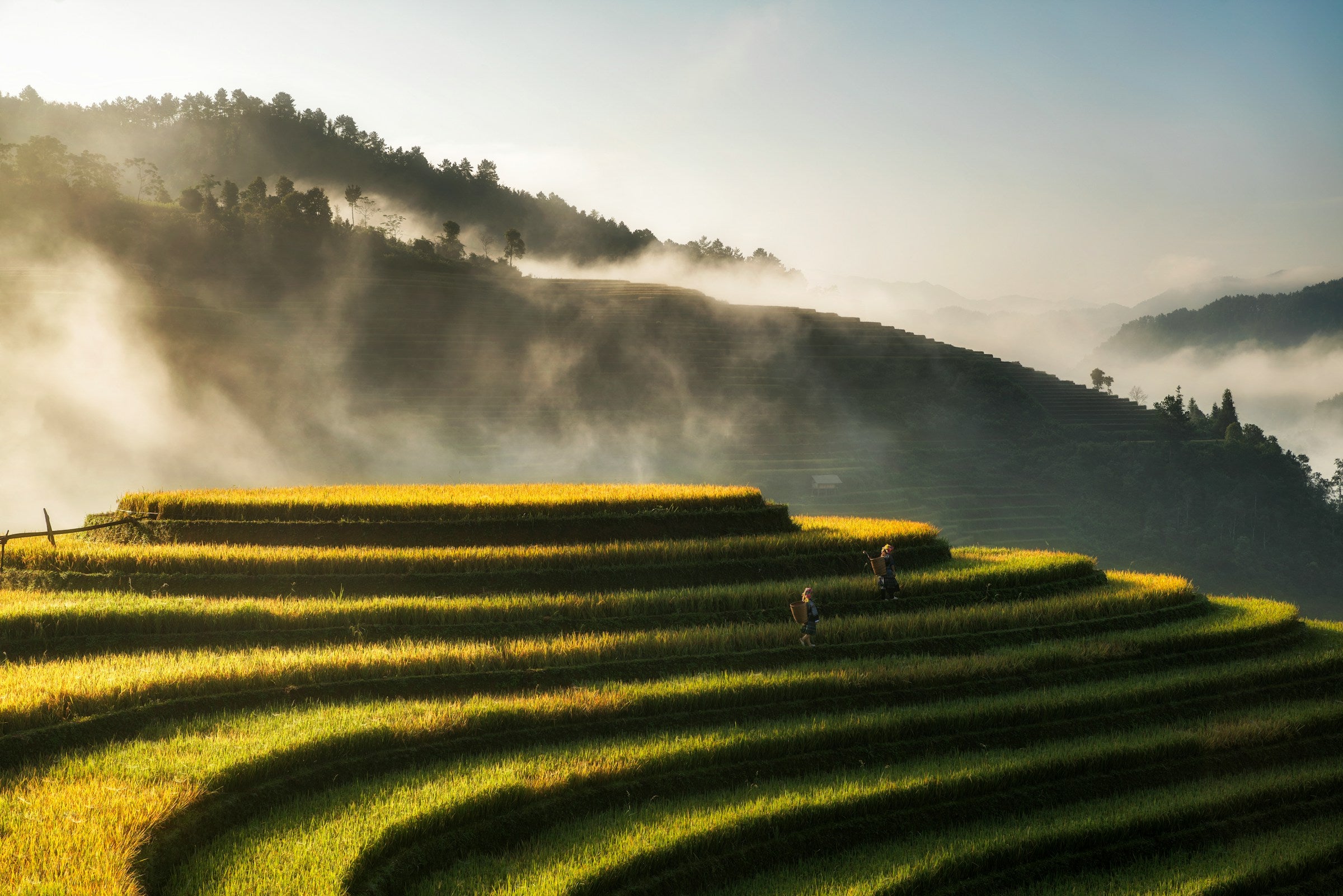 Image of Luxury 6D5N Hanoi, Sapa & Halong Bay Tour – Fansipan & Cruise