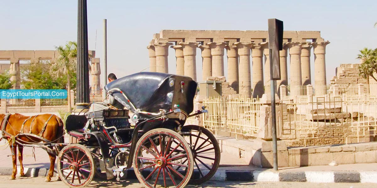 Image of Luxor Carriage Sightseeing — Traditional Ride, Local Markets & Riverside Life
