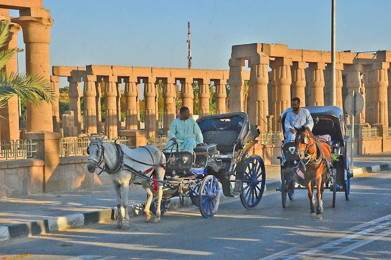 Aswan City Horse-Drawn Carriage — Elephantine & Corniche Experience
