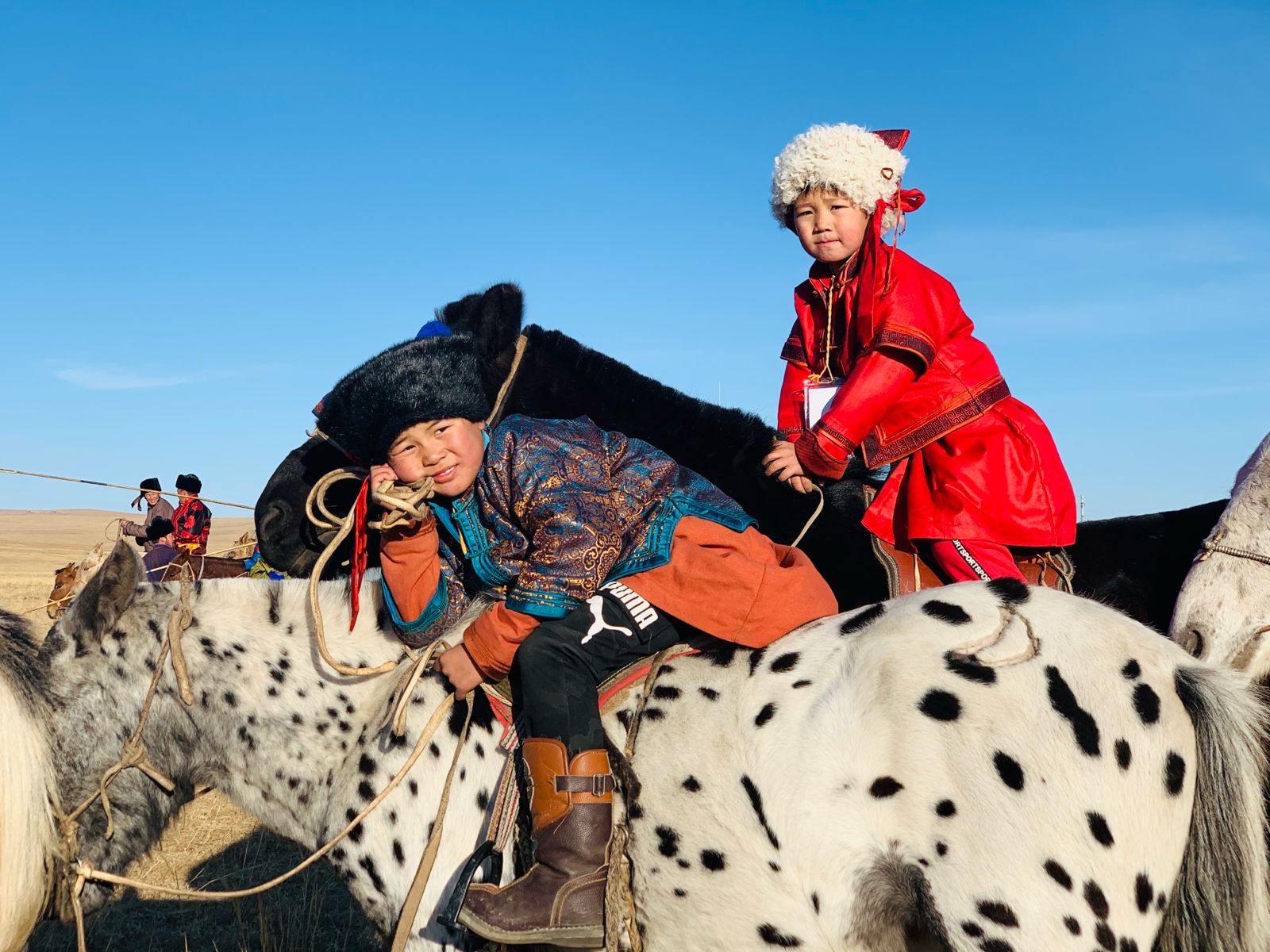 8D Spirit of the Steppe: Mongolia Gobi Desert & Nomadic Experience