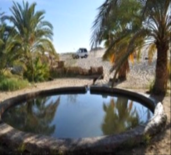 Image of Ultimate Western Desert Egypt Tour: 8 Days Siwa, Bahariya & White Desert Camping