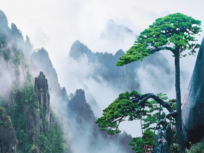 Image of 6-Day Hangzhou, Qiandao Lake & Huangshan Private Tour: Lakes & Mountains Paradise