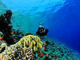 Image of Best 12 Days Egypt Itinerary: Historic Nile River Cruise & Red Sea Beach Holiday