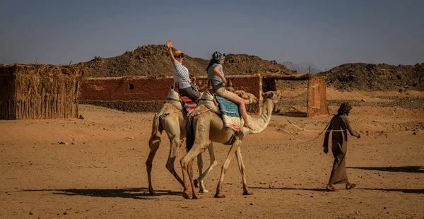 Sharm Ras Mohamed Full-Day — Marine Safari, Bedouin Panorama & Sunset