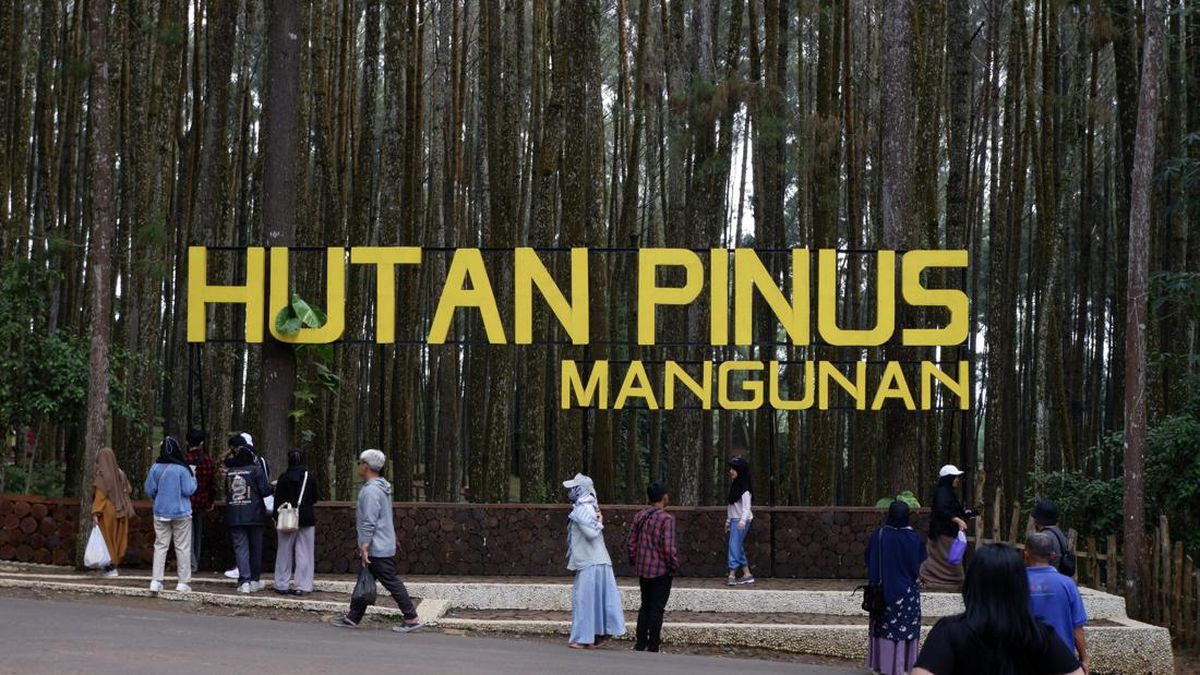 Image of 5-Day Jogja Wonders: Caves, Coasts, and Castles