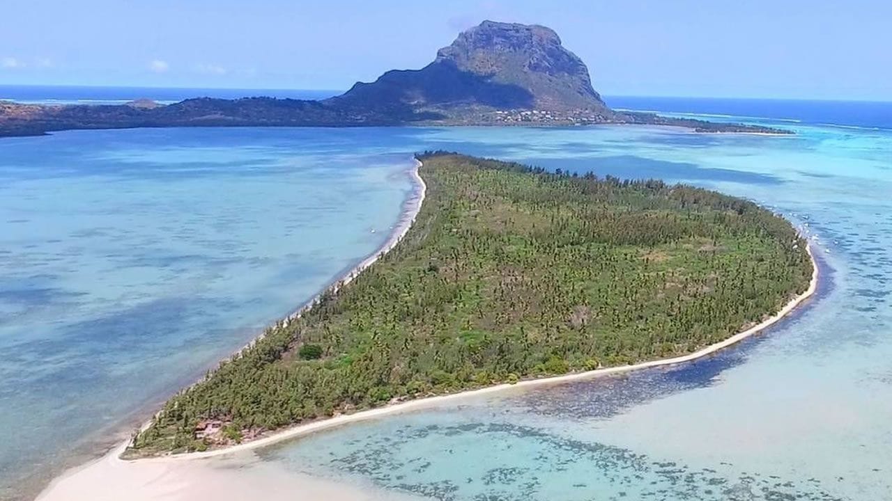 Swim with Dolphins & Island Escape – Crystal Rock & Île aux Bénitiers Tour