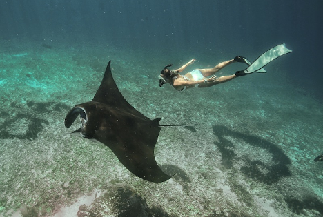 Exclusive Komodo National Park Day Tour – Superior Speedboat Experience