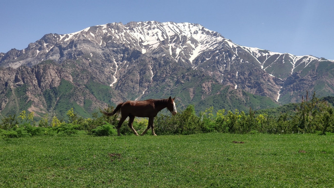 From Tashkent to Khiva: A Journey Through the Heart of the Silk Road