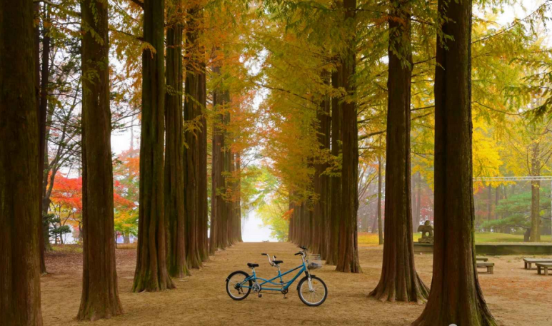 Adventour Global