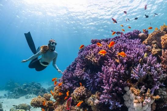 Image of Manado Explorer Route: 5D Bunaken Snorkeling, Minahasa Views & Lihaga