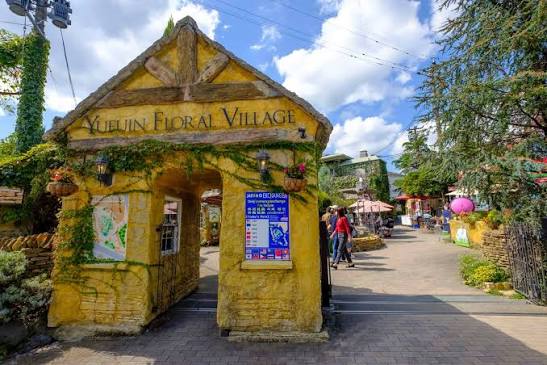 Image of Magical Yufuin Floral Village & Kinrin Lake Private Luxury Tour