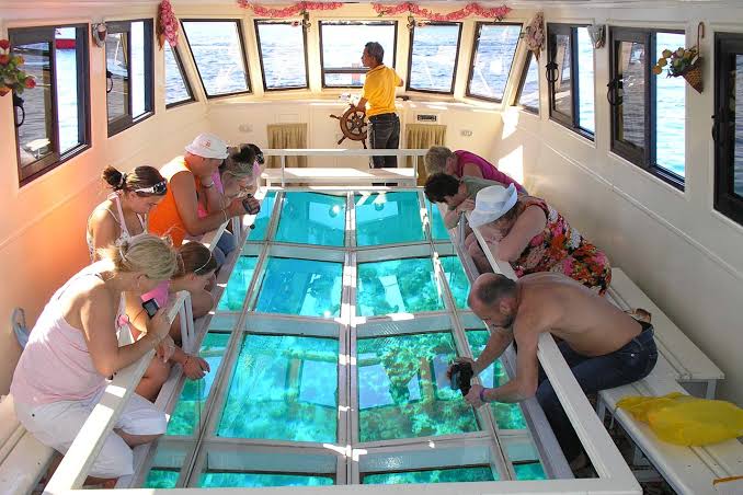 Image of Sharm Glass Boat Tour – Near & Far Garden Red Sea Cruise
