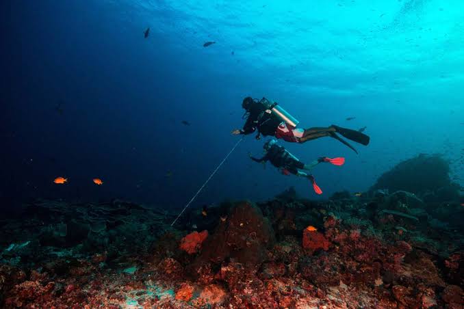 Image of Ultimate Komodo Diving Experience: Manta Point, Castle Rock & Hidden Reefs
