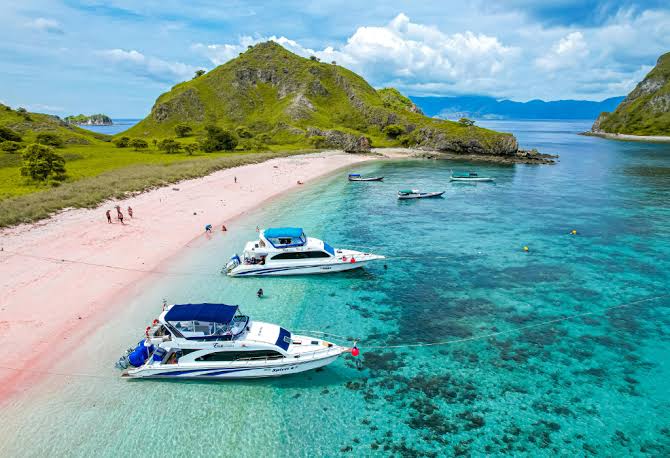 Image of Half-Day Komodo Sunset Cruise – Kelor Island, Menjerite Reef & Kalong Bats