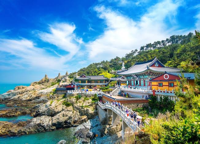 Image of 5D Nami Island, Seoul & Busan Experience - Muslim Friendly