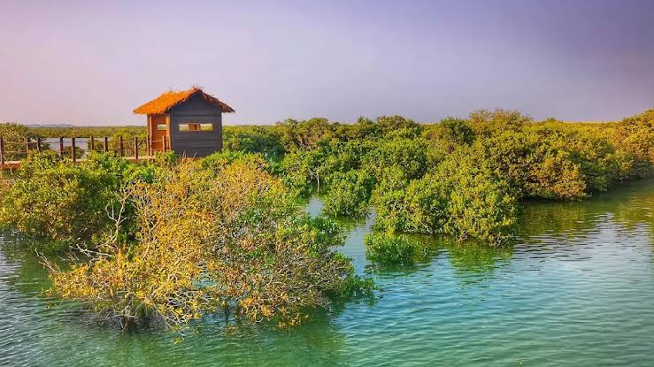 Image of Luxury Waters Experience: Kayaking & SUP at The Pearl’s Stunning Marina
